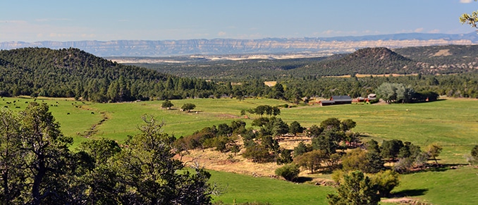 Ranches for Sale in Utah